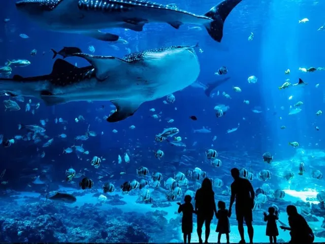 Georgia Aquarium